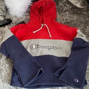 Champion large crop cropped top hoodie sweatshirt
